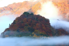 天空の紅葉