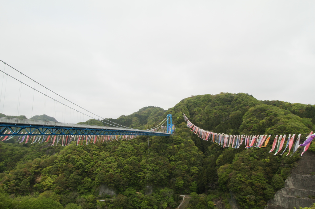 鯉のぼりの吊橋