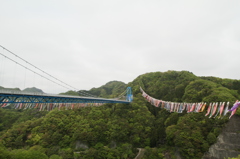 鯉のぼりの吊橋