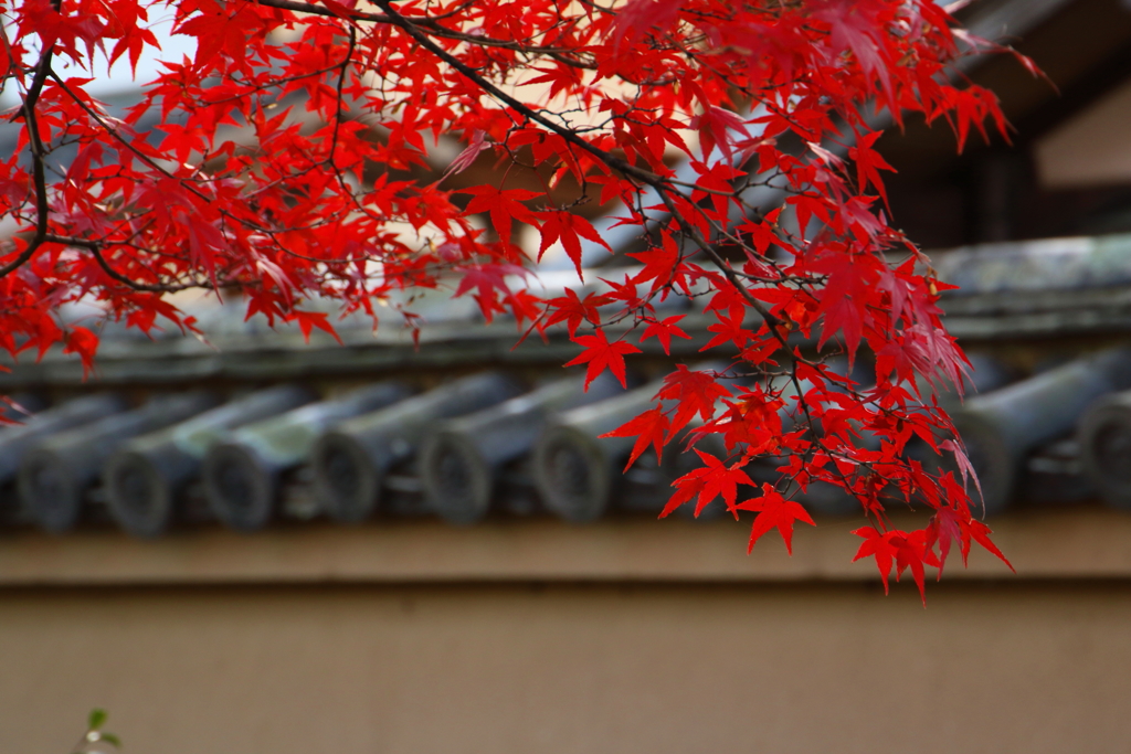 武家屋敷の様に