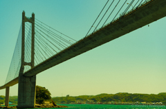 呼子大橋