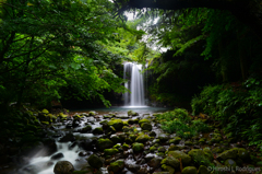 滝