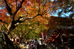 紅葉