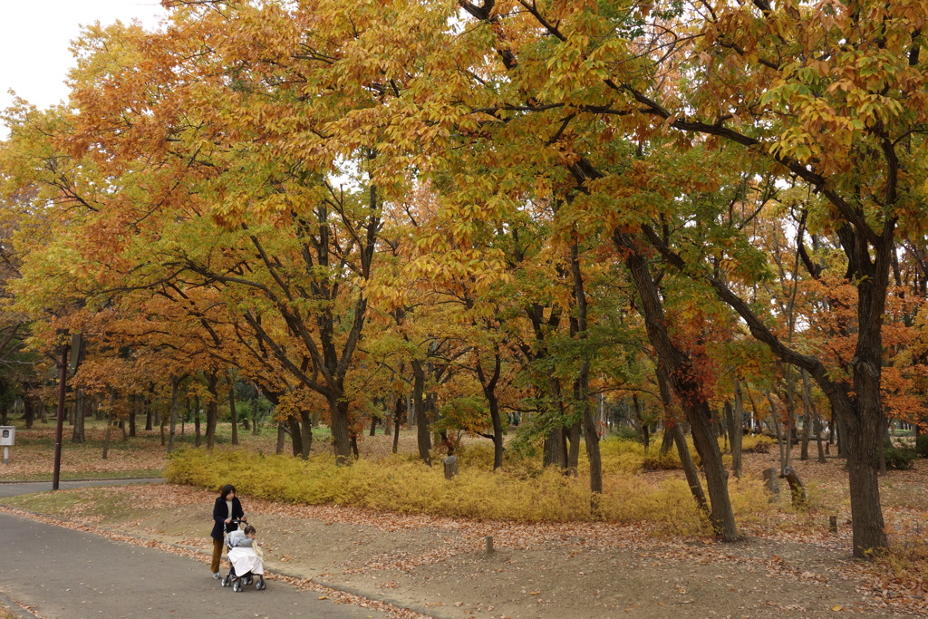 晩秋の公園