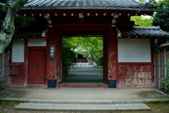 京都　常照寺