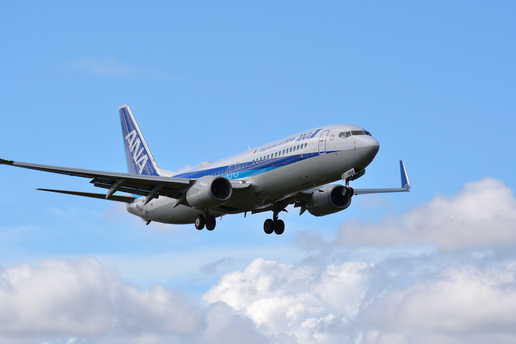 ANA737