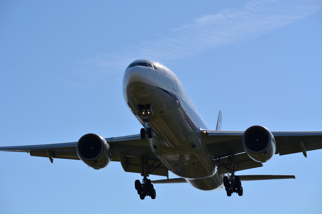 ANA　777