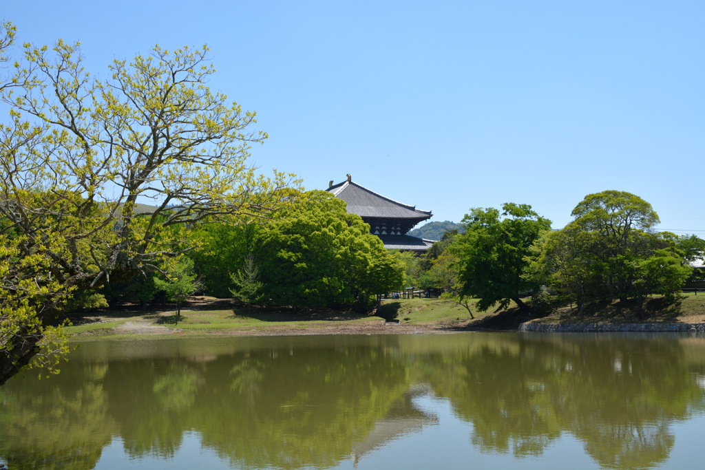 東大寺大仏殿