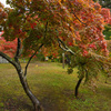 紅葉山