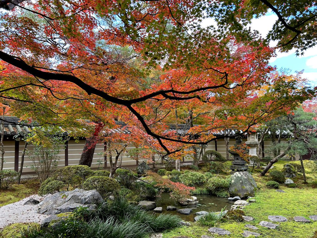 永観堂の紅葉
