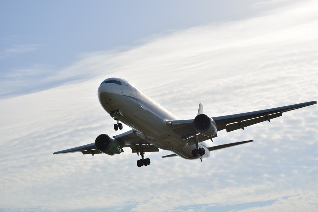 ANA 767