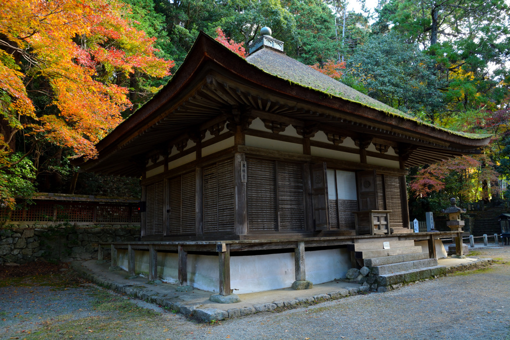 観心寺の紅葉