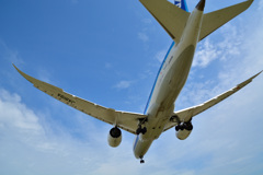 ANA７８７