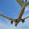 ANA７８７