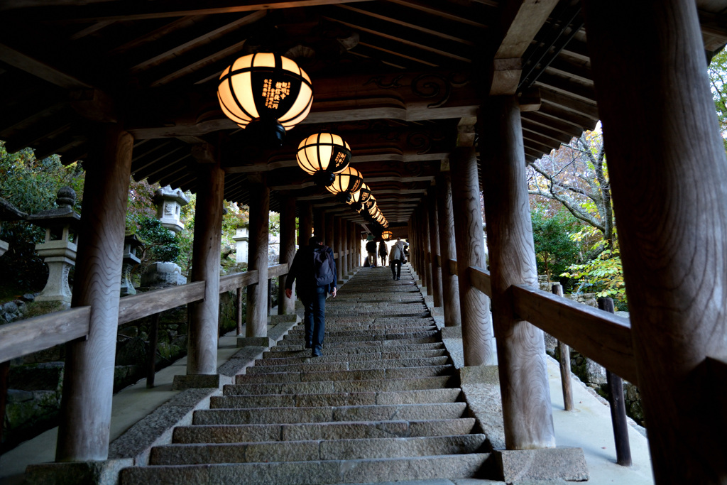 長谷寺