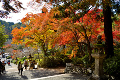 観心寺