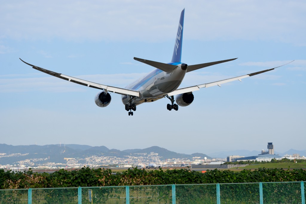 ANA ７８７