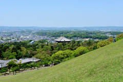 若草山から奈良市街を