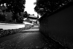 二月堂