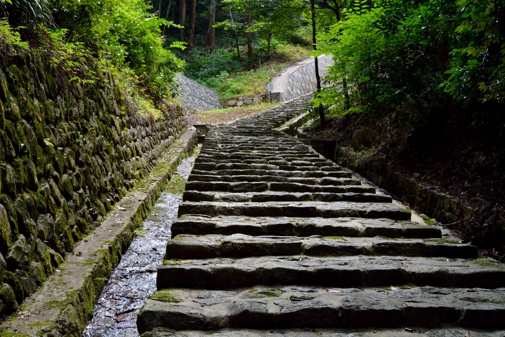 観心寺