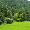 観心寺の近所