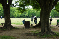 公園のひととき