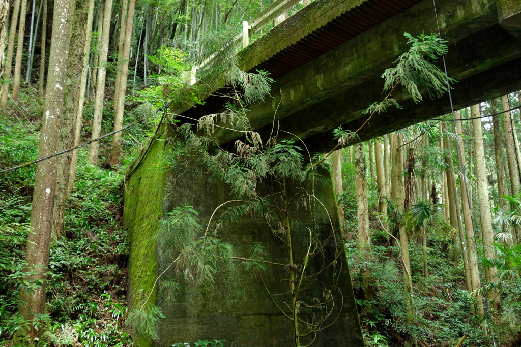 古橋