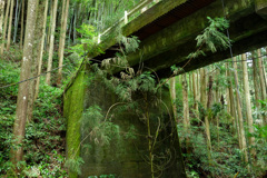 古橋
