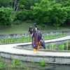 杜若能
