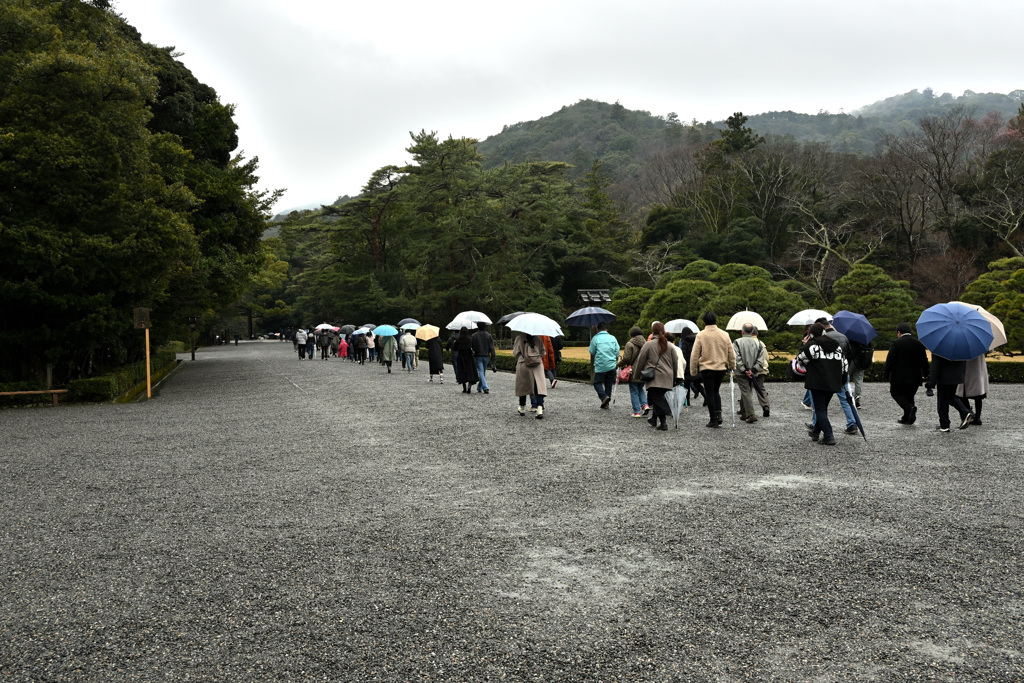 雨の神宮