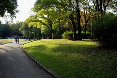 夕暮れの公園