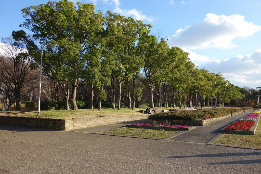 公園