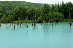 青い池