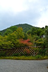 京都 光悦寺