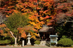 観心寺の紅葉