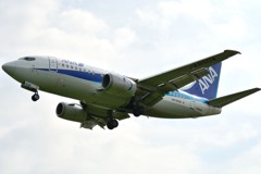 ANA 737