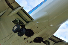 ANA737