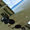 ANA737