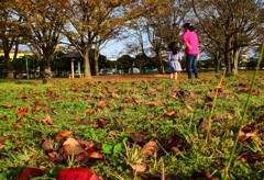晩秋の公園にて