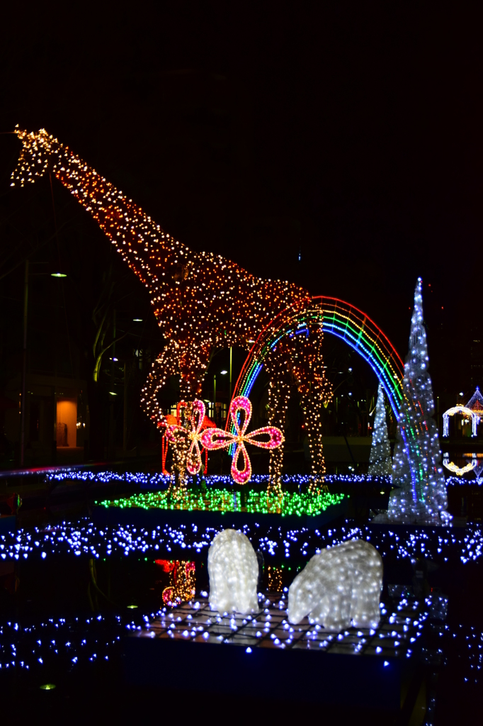 X'mas illumination 5