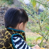 見たことあるもの