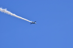 DSC_0255