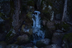 DSC_0315