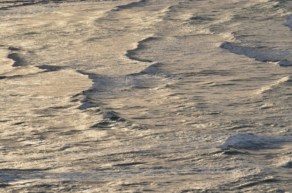 DSC_0106
