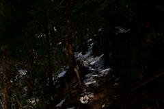 DSC_0016