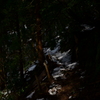 DSC_0016