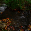DSC_0027