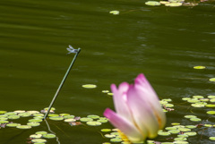 DSC_1881