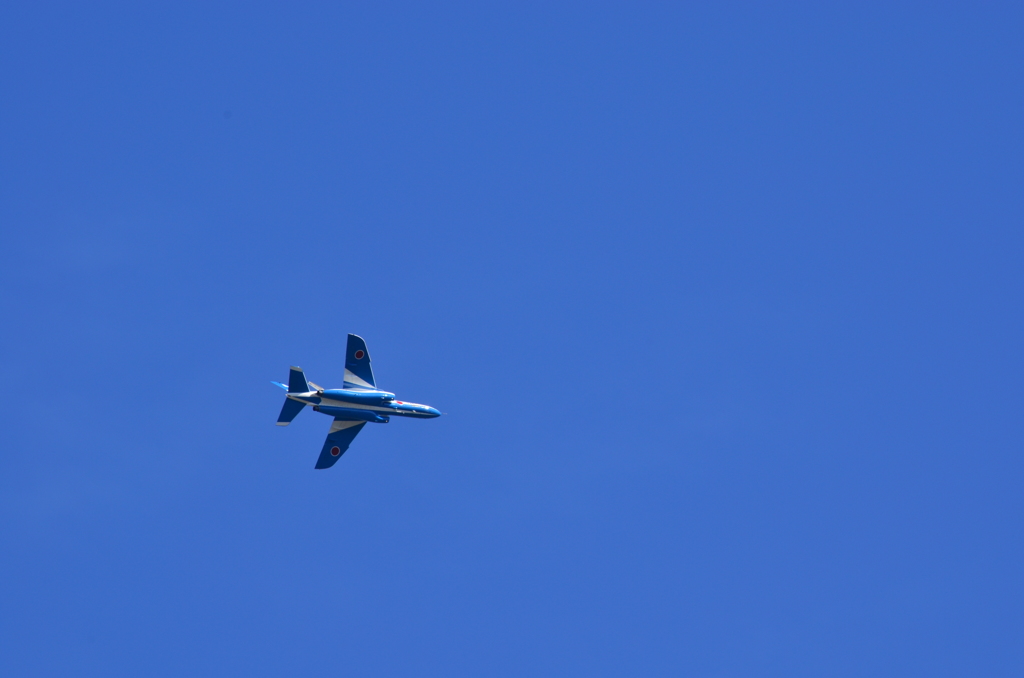 DSC_0253
