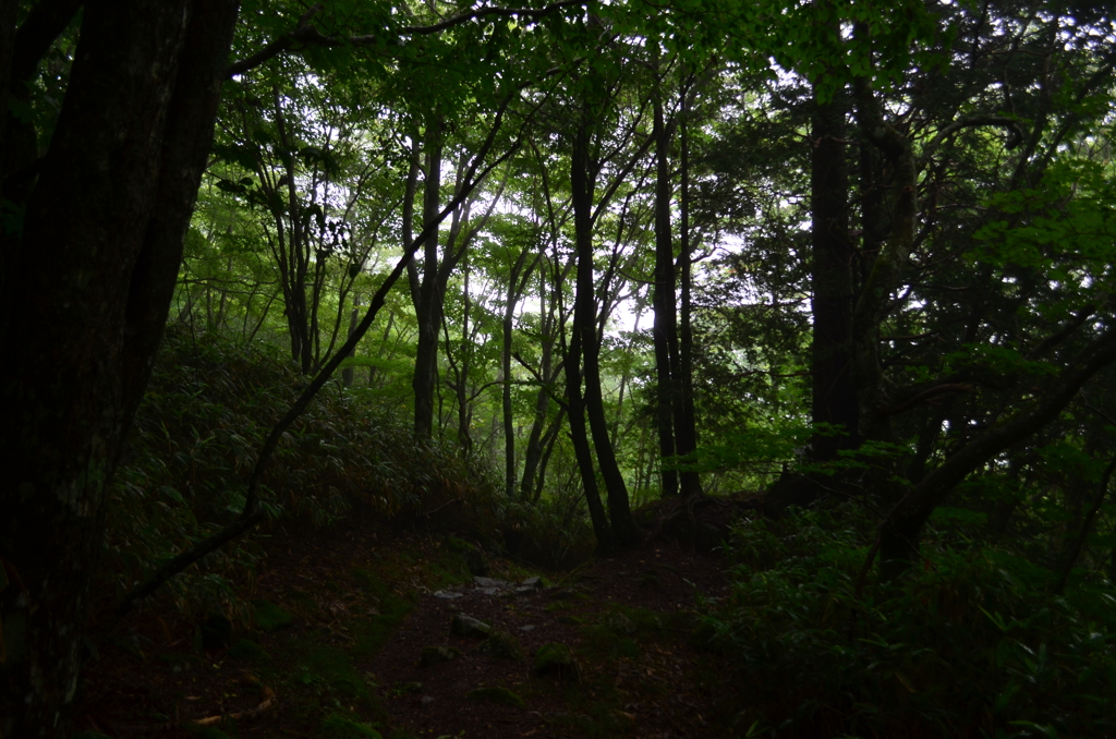 雨水行山